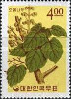 Paulownia coreana