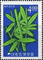 Sasa quelpaertensis