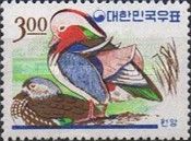 Mandarin Duck (Aix galericulata)