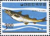 Alaska Pollock (Theragra chalcogramma)