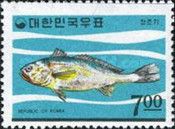 Yellow Corvina (Pseudosciaena manchurica)