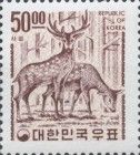 Sika Deer (Cervus nippon) from larch wood