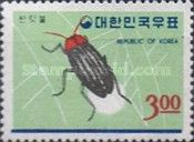 Firefly (Luciola lateralis)