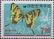 Butterfly (Sericinus telamon)