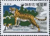 Siberian Tiger (Panthera tigris altaica)