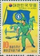 Homeland reservists and flag