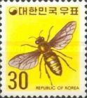 European Honey Bee (Apis mellifera)