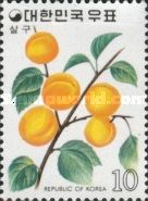 Apricots