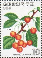 Cherries
