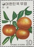 Tangerines