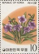 Violets