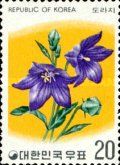 Broad-bell Flowers