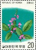 Bush clover