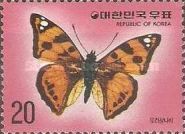 Butterfly (Dilipa fenestra)