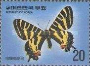 Luehdorfia Butterfly (Luehdorfia puziloi)
