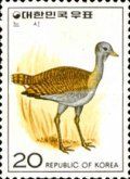 Great Bustard (Otis tarda)