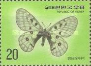Snow Apollo Butterfly (Parnassius bremeri)