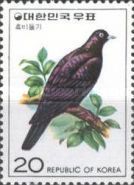 Japanese Woodpigeon (Columba janthina)