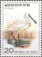 Black-faced Spoonbill (Platalea minor)