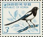 Eurasian Magpie (Pica pica)