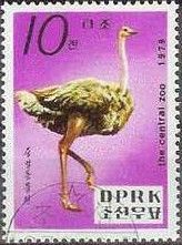 Red-crowned Crane (Grus japonensis)
