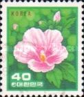 Rose of Sharon (Hibiscus syriacus)