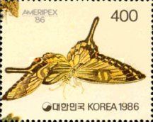 Papilio cresphontes