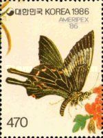 Papilio bianor