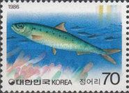 Sardine