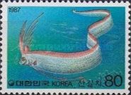 Giant Oarfish (Regalecus glesne)