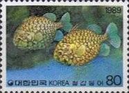 Pinecone Fish (Monocentris japonicus)