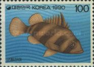 Sweetlips (Plectorhinchus sp.)