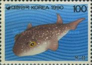 Puffer (Arothron sp.)