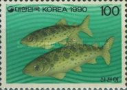 Trout (Salmo trutta)