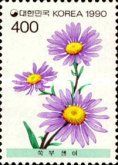 Aster