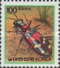 Tiger Beetle (Cicindela chinensis)