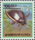 Great Diving Beetle (Cybister japonicus)