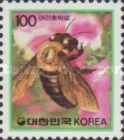 Carpenter Bee (Xylocopa Appendiculata circumvolans)