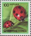 Seven-spot Ladybird (Coccinella septempunctata)