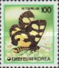 Burnet Moth (Mimeusemia persimilis)