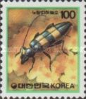 Longhorn Beetle (Polyzonus fasciatus)