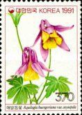 Aquilegia buergeriana