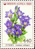 Gentiana zollingeri