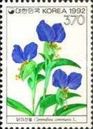Commelina communis