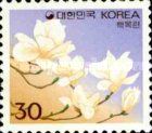 White Magnolia
