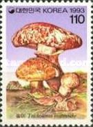 Tricholoma matsutake