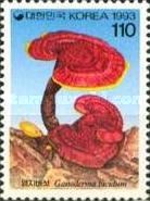 Ganoderma lucidum