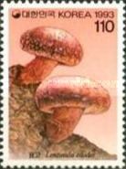Lentinula edodes