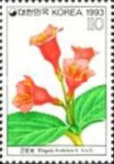 Weigela hortensis