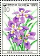 Iris ruthenica